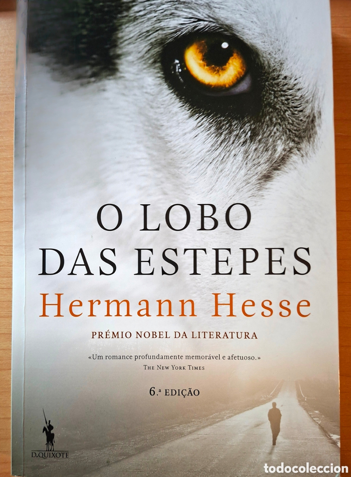 Libros de segunda mano: Hermann Hesse, O LOBO DAS ESTEPES. Don Quixote 6&ordf; ed. 1995