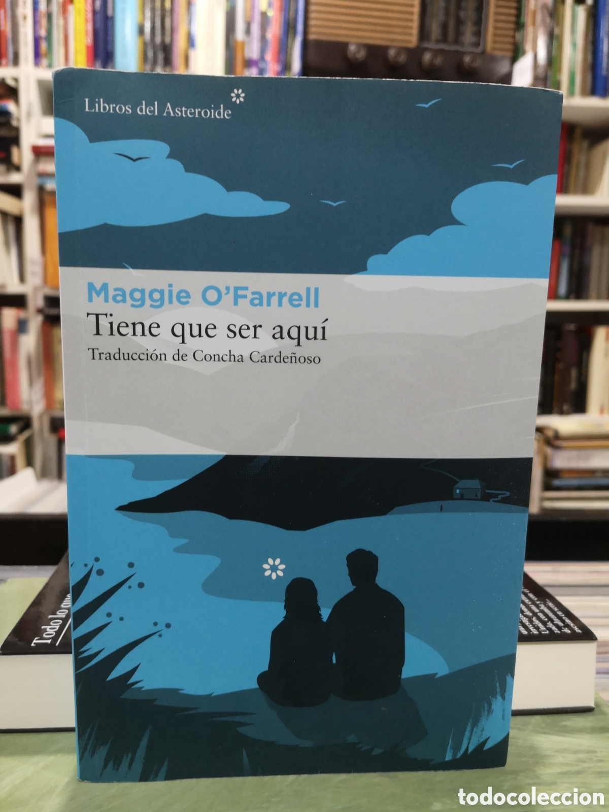 Gebrauchte B&uuml;cher: TIENE QUE SER AQU&Iacute; - MAGGIE O'FARRELL
