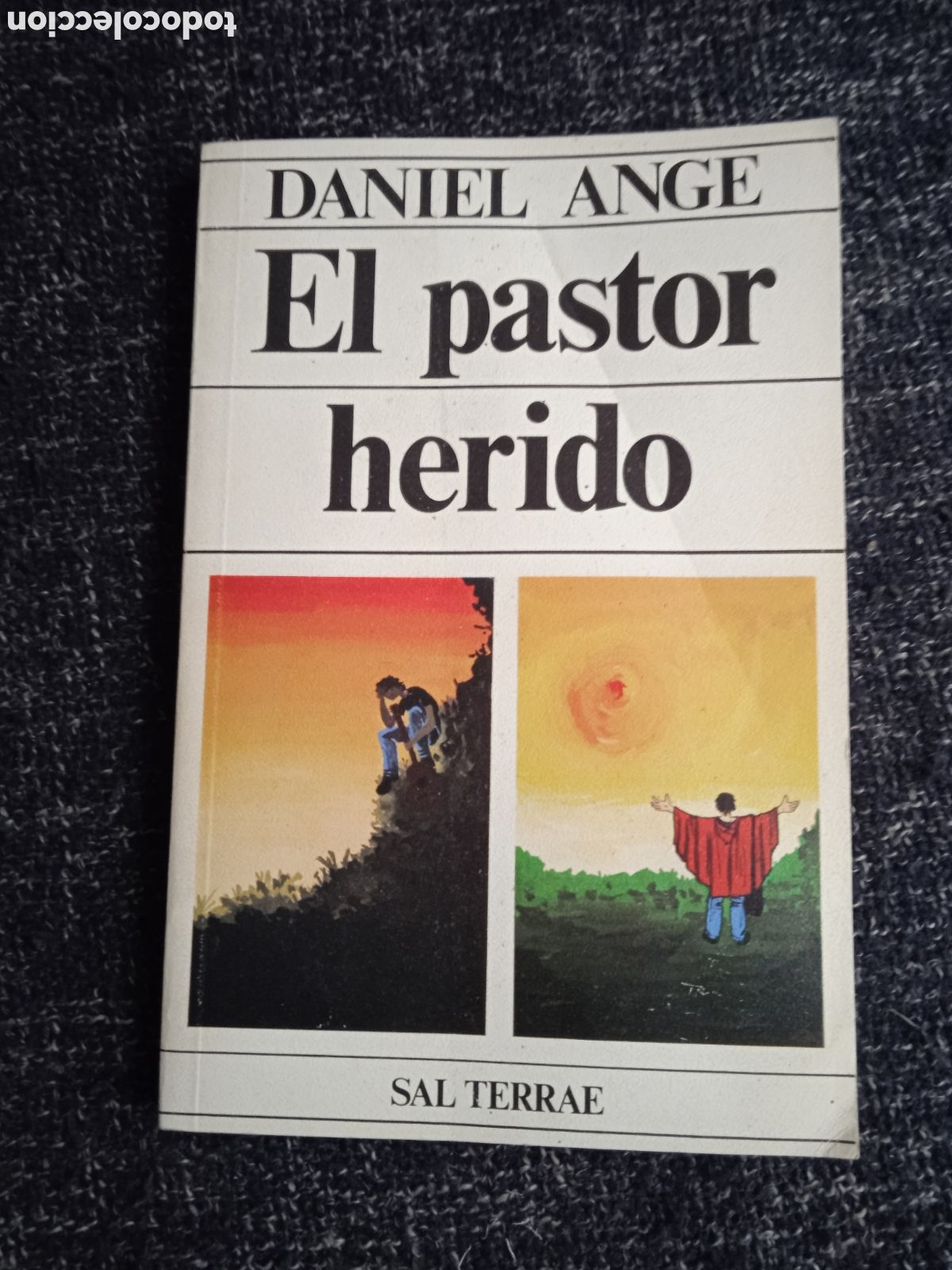 Libros de segunda mano: EL PASTOR HERIDO. / DANIEL ANGE - Foto 1