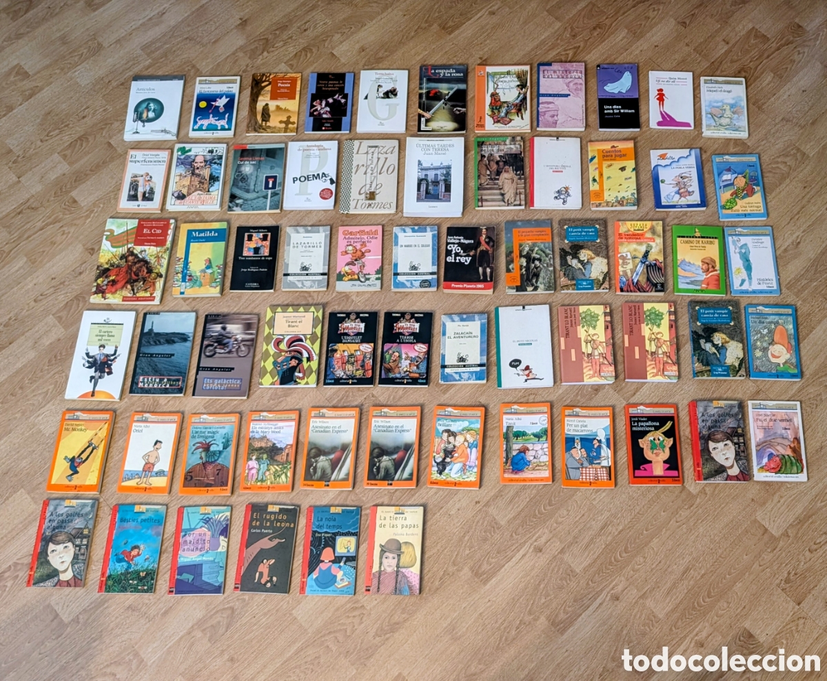 Libros de segunda mano: Lote libros literatura Juvenil. Varios. Anaya. Colecci&oacute;n Austral, Editorial Crilla, Lumen...