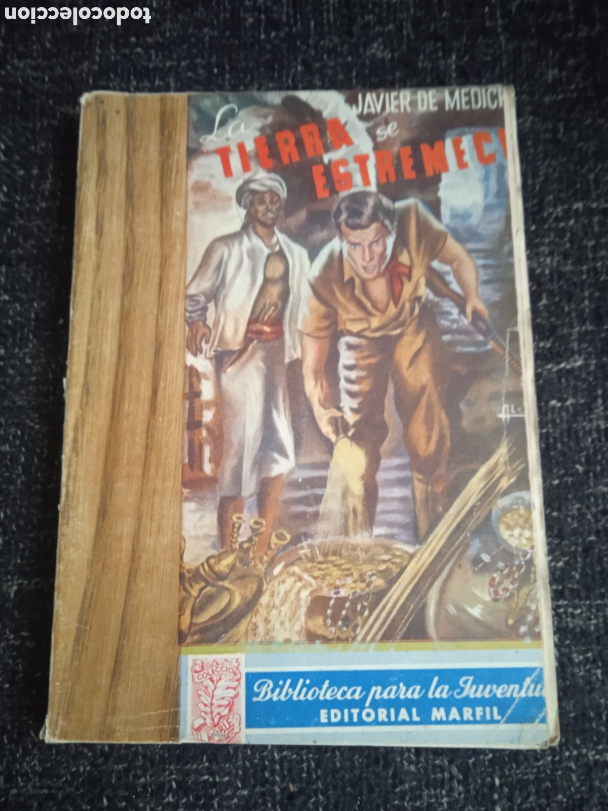 Libros de segunda mano: LA TIERRA SE ESTREMECE / JAVIER DE MEDICIS,