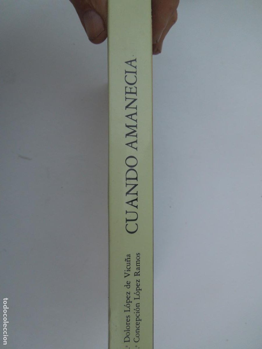 Libros de segunda mano: CUANDO AMANEC&Iacute;A - M&ordf; DOLORES L&Oacute;PEZ DE VICU&Ntilde;A/M&ordf; CONCEPCI&Oacute;N L&Oacute;PEZ RAMOS - 1993.