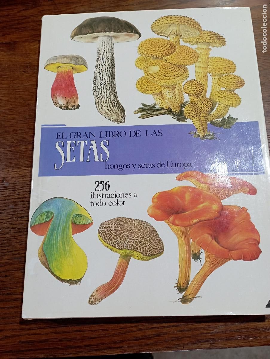 Libros de segunda mano: EL GRAN LIBRO DE LAS SETAS- HONGOS Y SETAS DE EUROPA - GEORGES BECKER - MC1