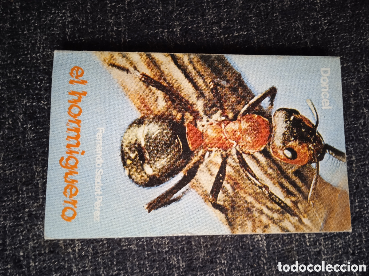 Libros de segunda mano: EL HORMIGUERO. / FERNANDO SADOT PEREZ.