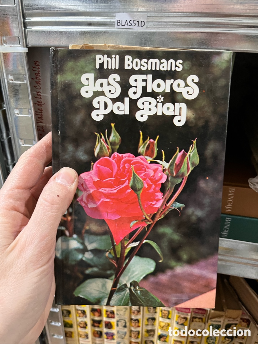 Libros de segunda mano: BLAS51D Phil Bosmans las flores del bien