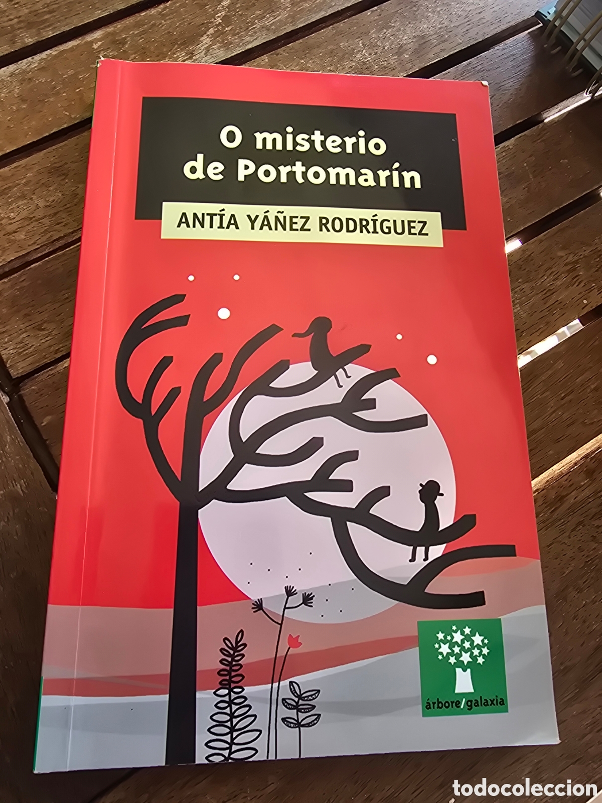 Libros de segunda mano: O MISTERIO DE PORTOMARIN Antia Ya&ntilde;ez Rodriguez ARBORE/GALAXIA 2024