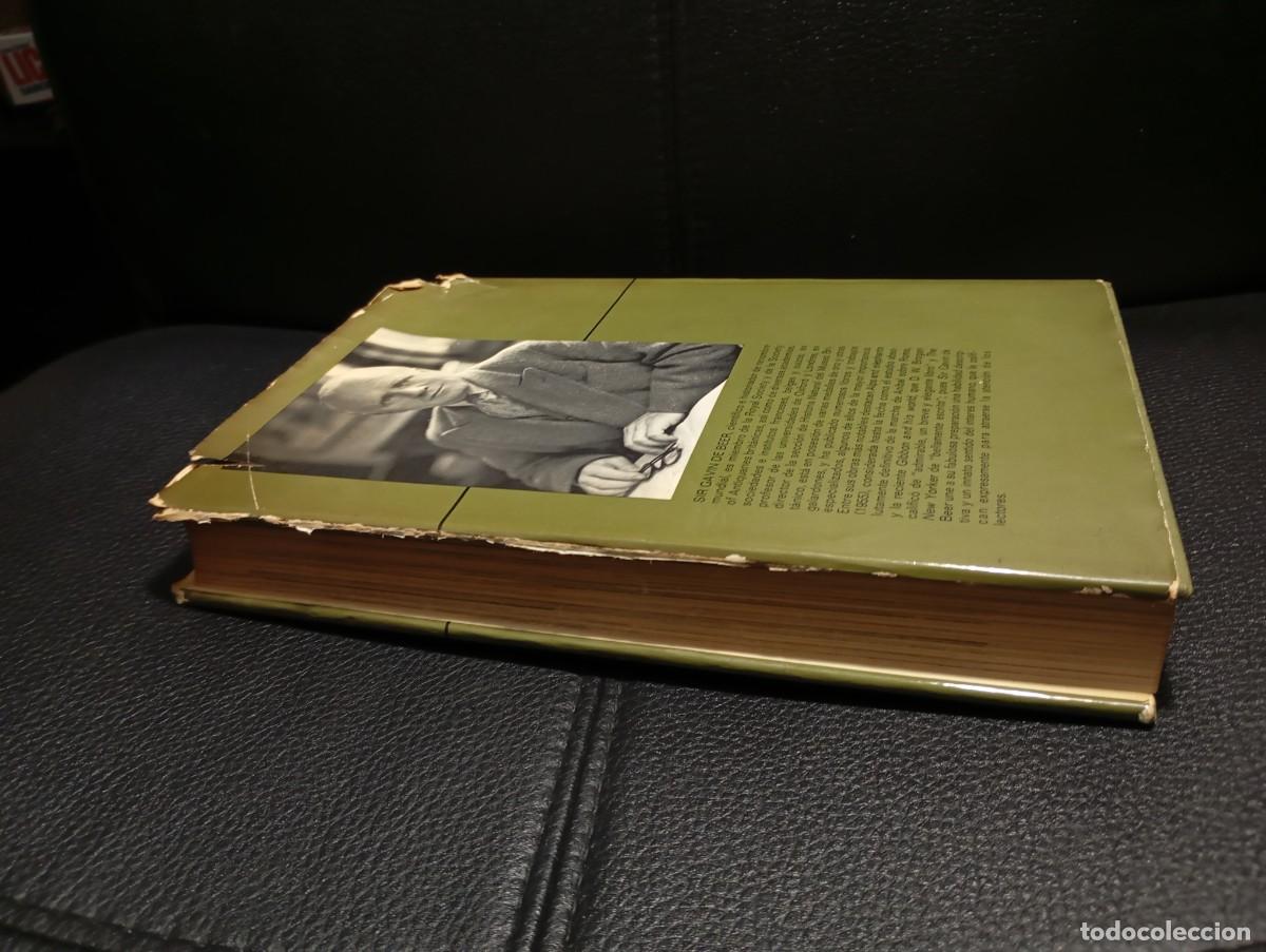 Libros de segunda mano: ANIBAL - LIBRO - SIR GAVIN DE BEER - CIRCULO DE LECTORES - 1969 - Foto 3