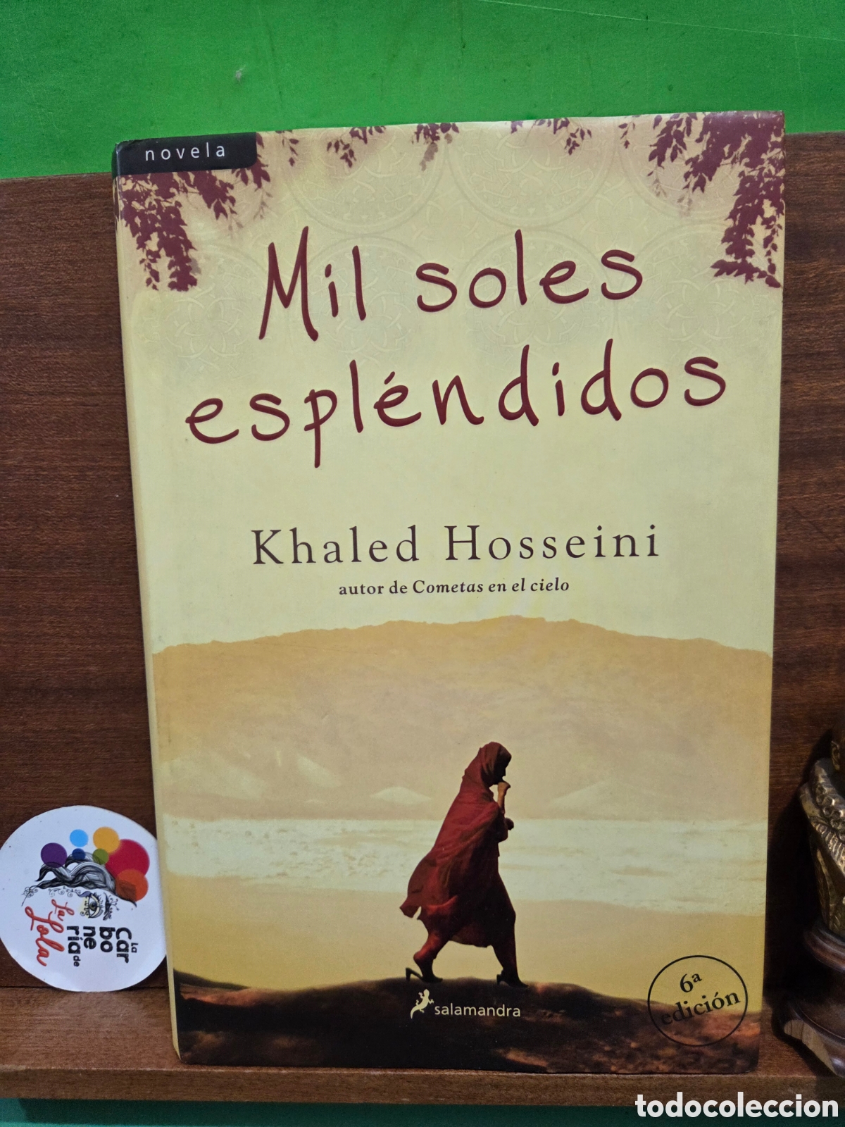 Libros de segunda mano: &rdquo;&rdquo;MIL SILES ESPL&Eacute;NDIDOS&rdquo;&rdquo;...KHALED HOSSEINI...SALAMANDRA...2008..