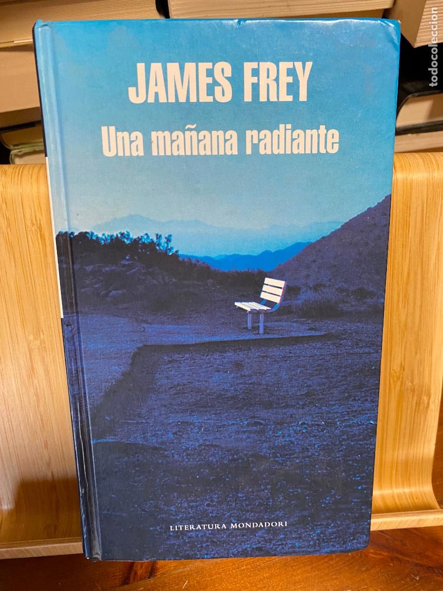 Libros de segunda mano: UNA MA&Ntilde;ANA RADIANTE. JAMES FREY. EDITORIAL MONDADORI