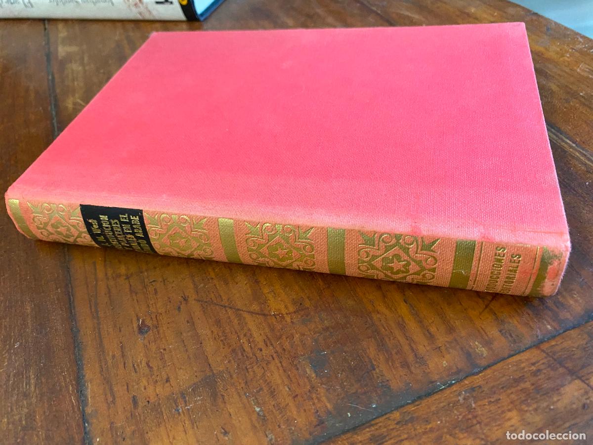 Libros de segunda mano: Prostituci&oacute;n y placeres sexuales en el mundo, &aacute;rabe. J. W. West