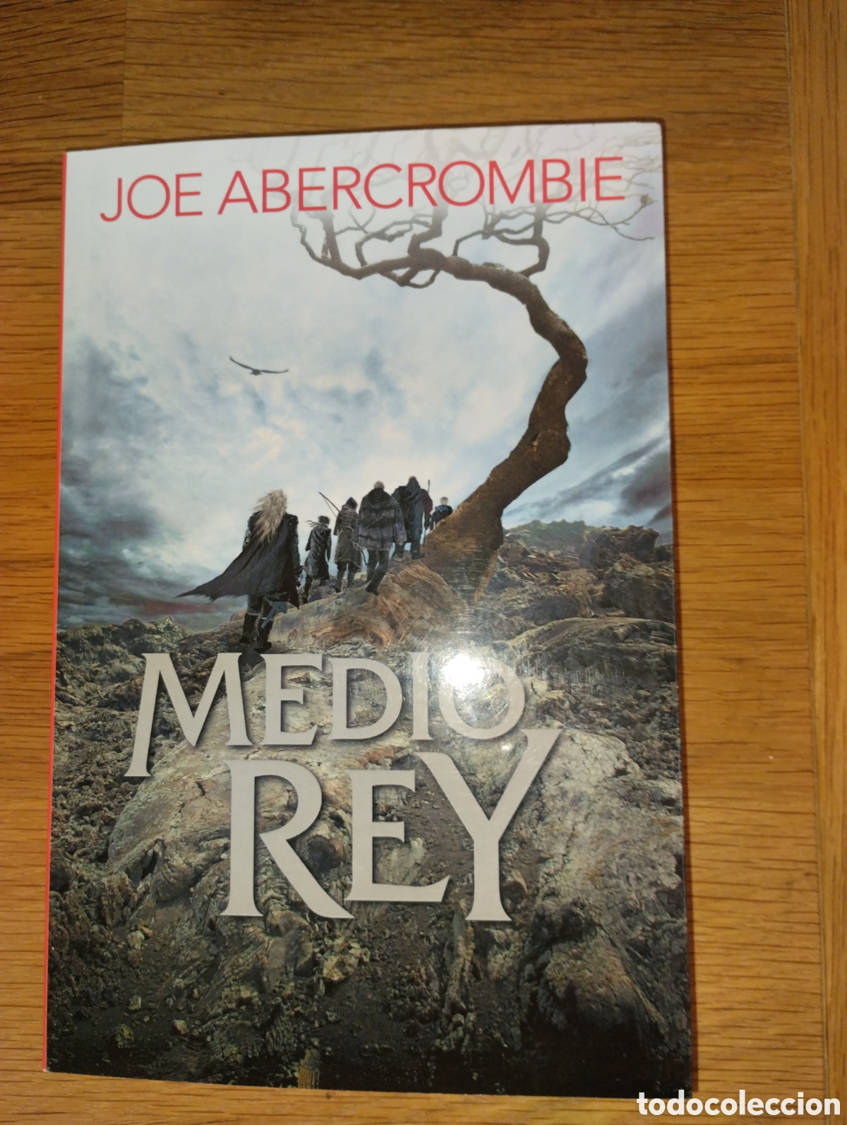 Libros de segunda mano: MEDIO REY, ABERCROMBIE JOE