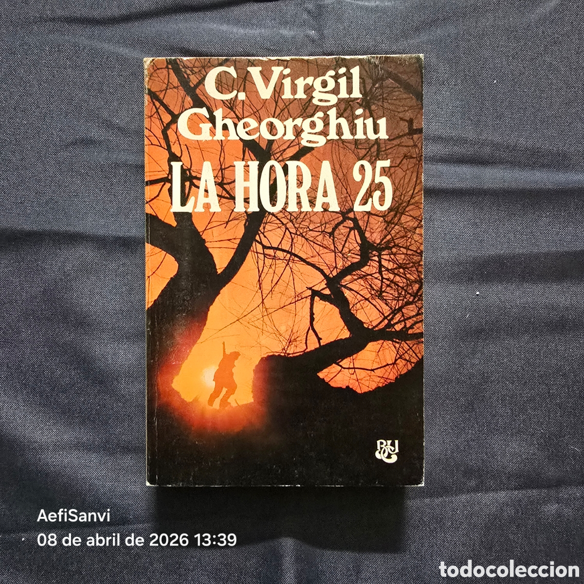 Libros de segunda mano: LA HORA 25 (C. VIRGIL GHEORGHIU)