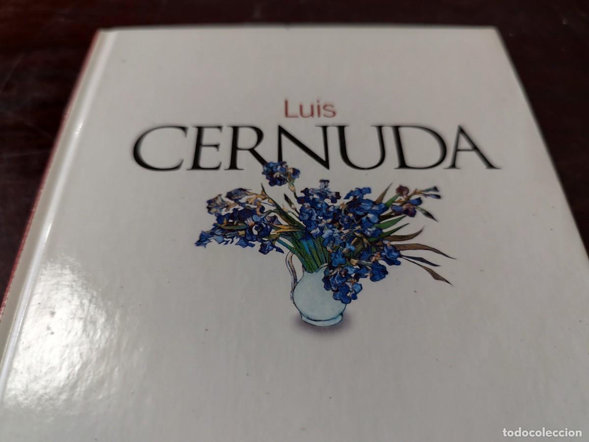 Libros de segunda mano: OCNOS / LUIS CERNUDA / PU-GUI-12 / EL PAIS / - Foto 2