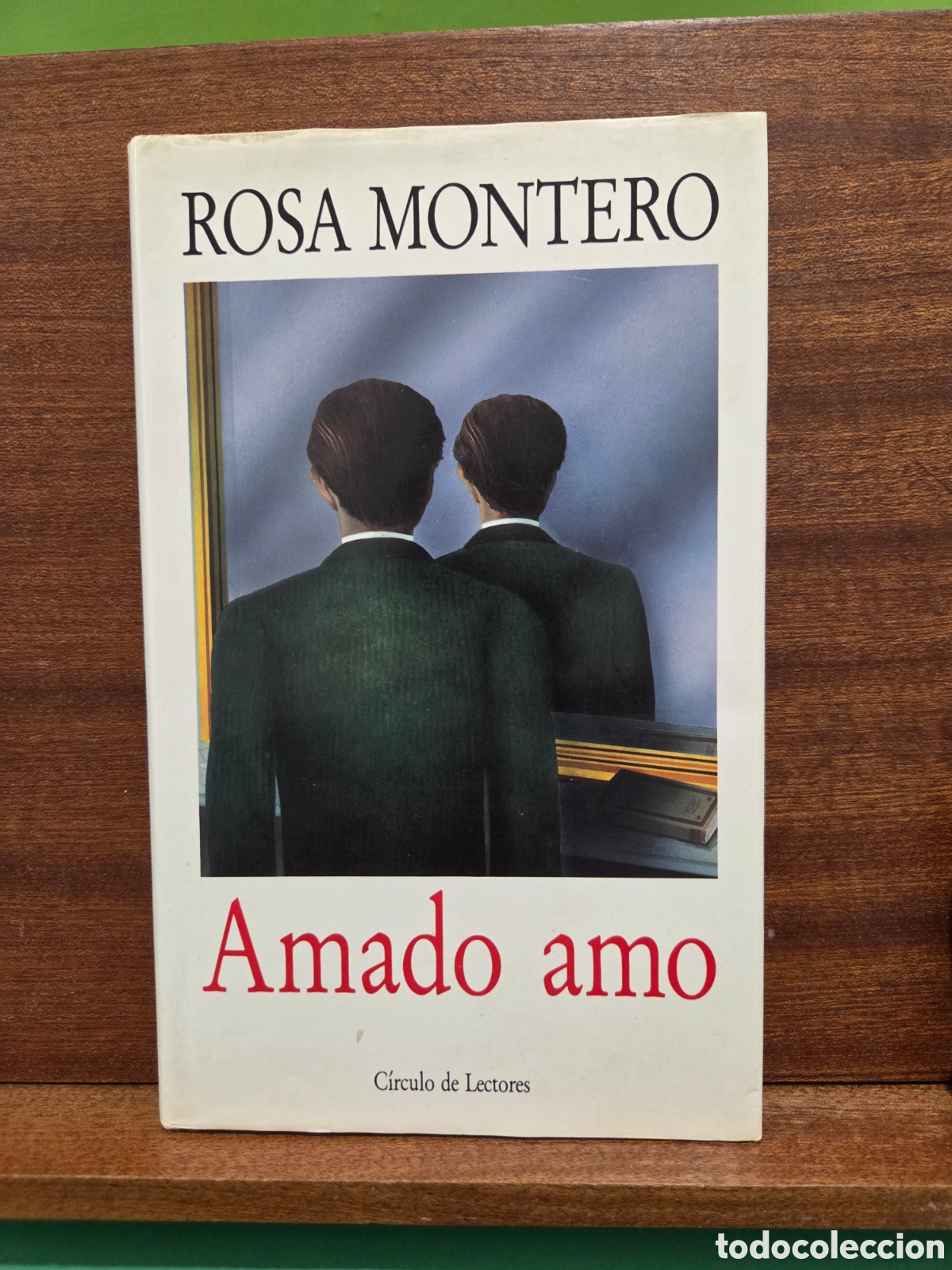 Libros de segunda mano: ROSA MONTERO...&rdquo;&rdquo;AMADO AMO&rdquo;&rdquo;... CIRCULO DE LECTORES...1998...