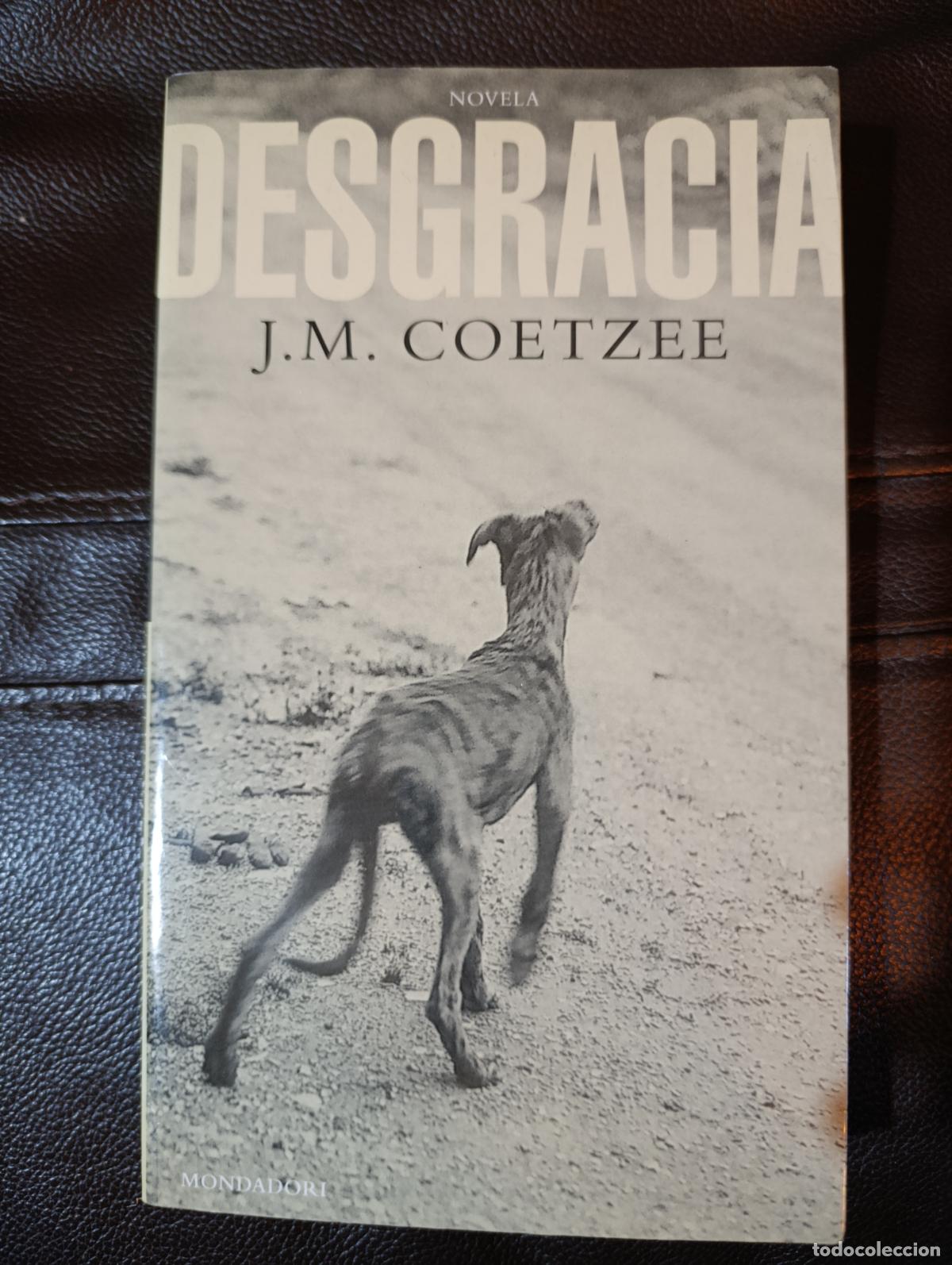 Libros de segunda mano: DESGRACIA J M COETZEE