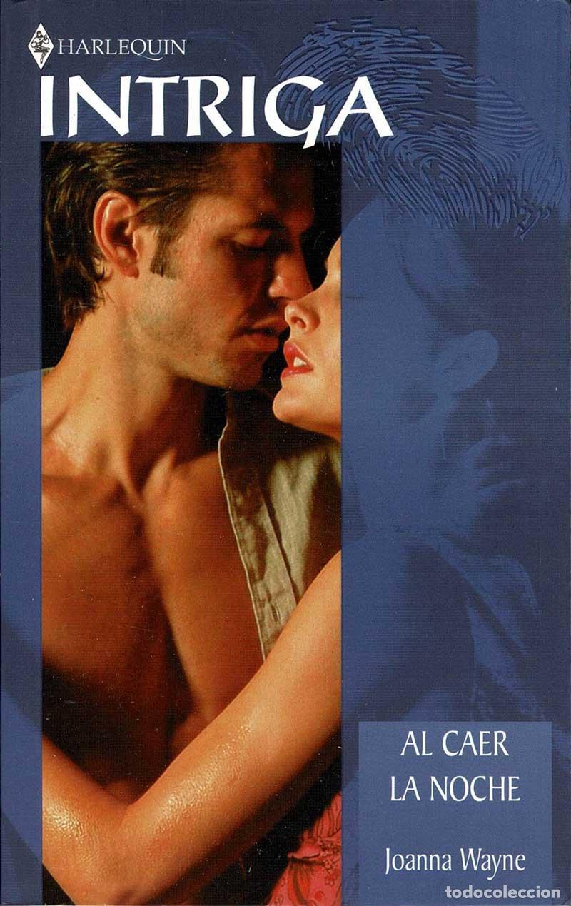 Libros de segunda mano: Al caer la noche - Joanna Wayne - Foto 1
