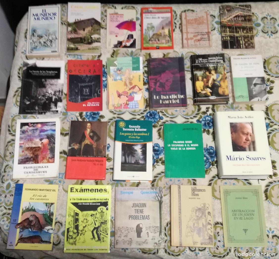 Libros de segunda mano: Lote de 22 libros variados (Lote 65)