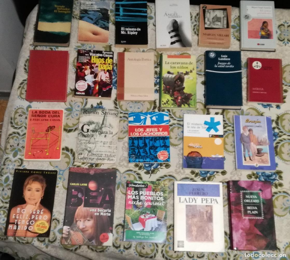 Libros de segunda mano: Lote de 22 libros variados (Lote 66)