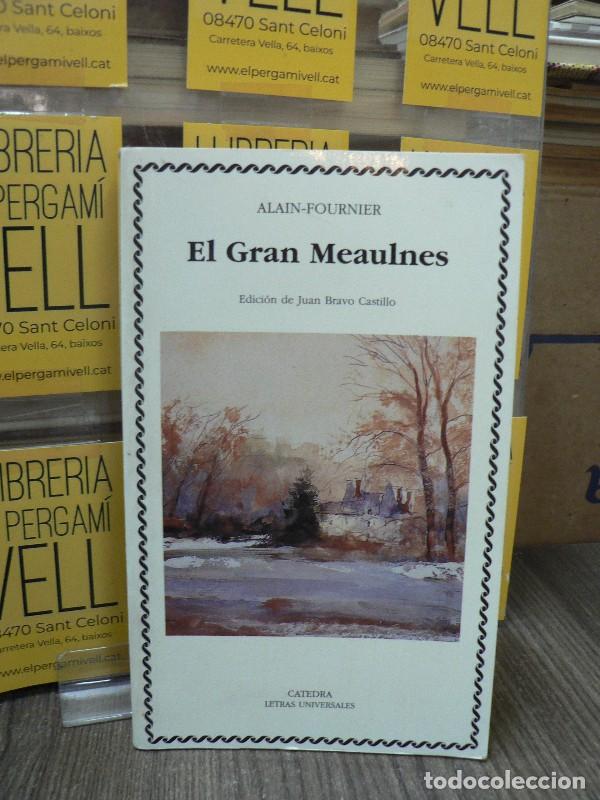 Libros de segunda mano: El gran Meaulnes - Alain-Fournier, Henri - Ediciones C&aacute;tedra - Letras Universales, 292