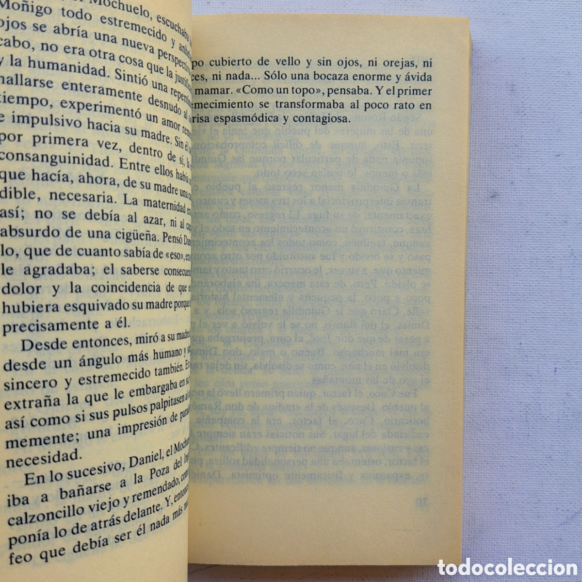 Libros de segunda mano: Pack 2 libros Miguel Delibes - Foto 5