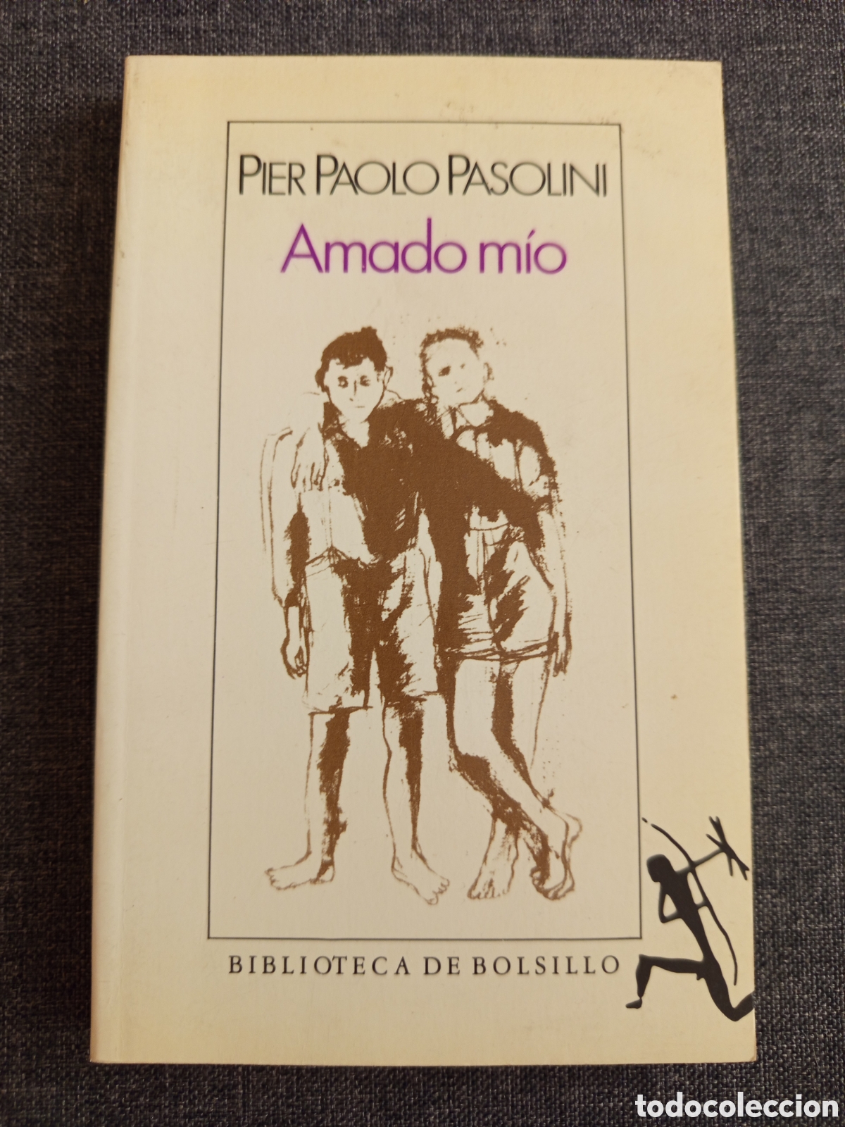 Gebrauchte B&uuml;cher: AMADO MIO (PIER PAOLO PASOLINI)