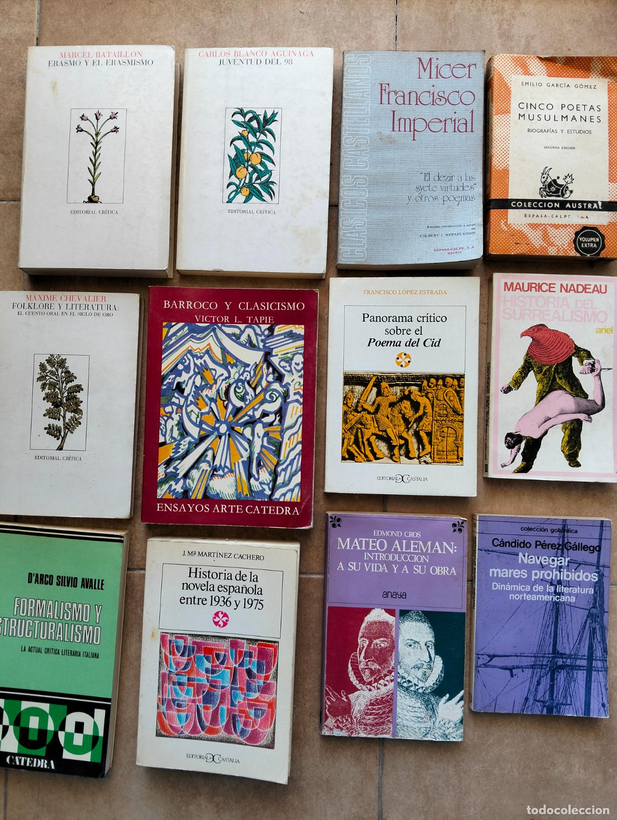 Libros de segunda mano: Literatura. Lote de libros. Los de la foto. Buen estado. VISITA MI CATALOGO. L54