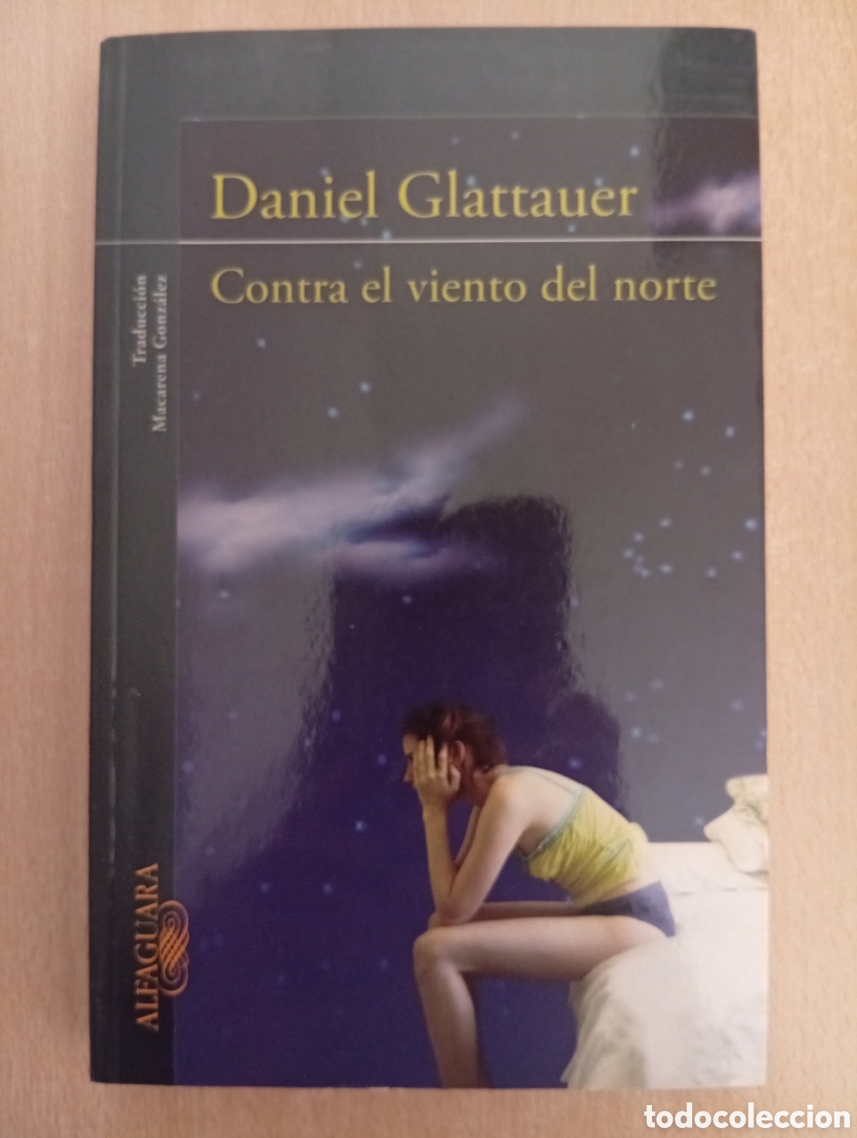 Libros de segunda mano: CONTRA EL VIENTO DEL NORTE. Daniel Glattauer