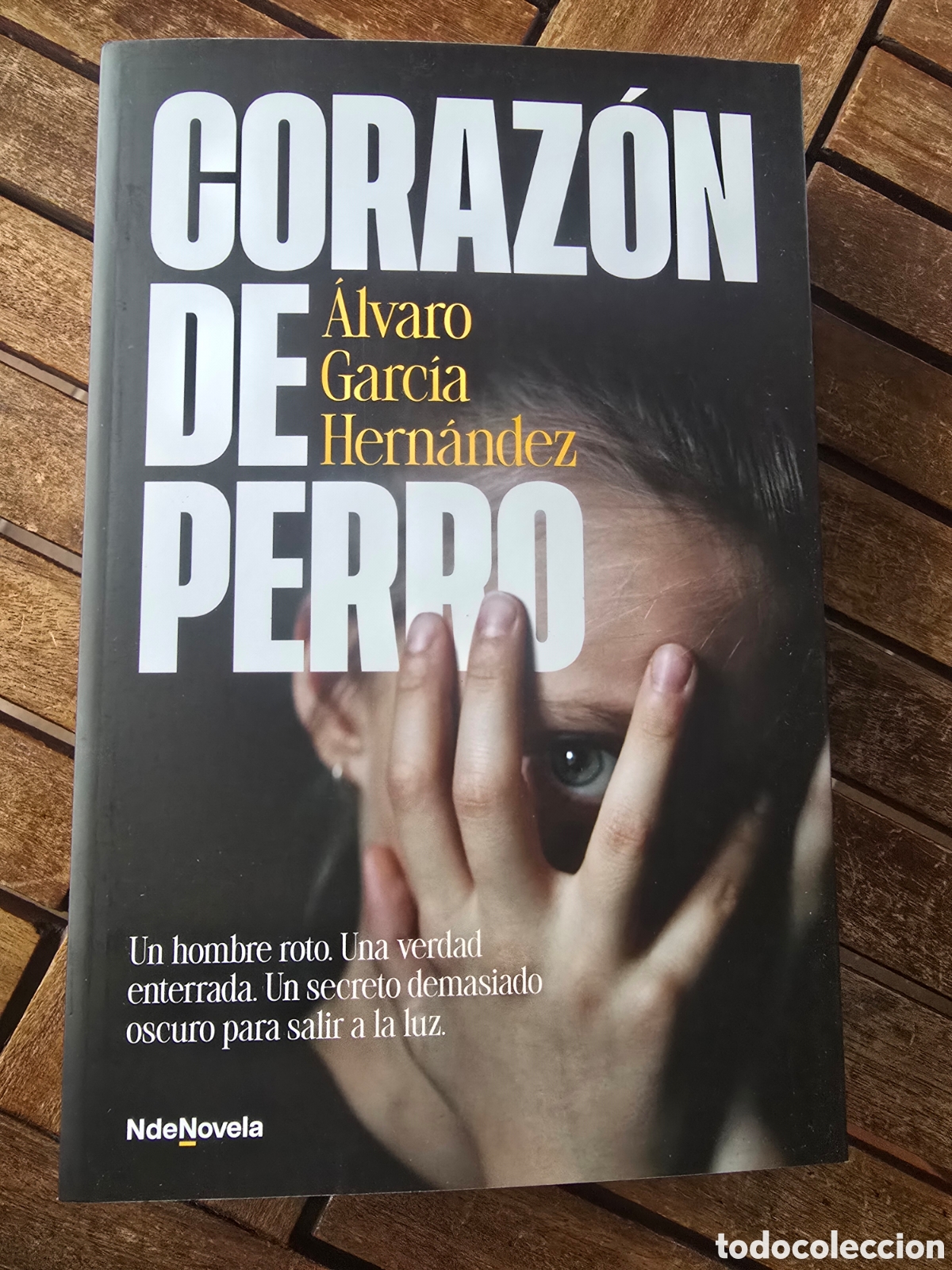 Libros de segunda mano: Coraz&oacute;n de perro &Aacute;lvaro Garc&iacute;a Hern&aacute;ndez Editorial NDENOVELA 2026 Novela