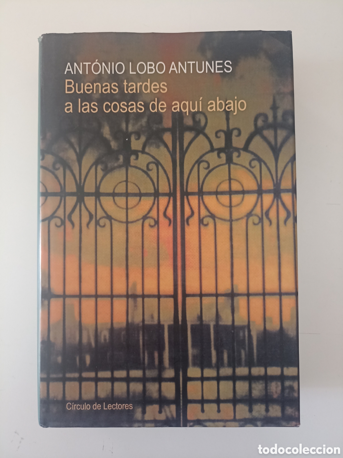 Libros de segunda mano: Ant&oacute;nio Lobo Antunes - Buenas tardes a las cosas de aqu&iacute; abajo (C&iacute;rculo de lectores, 2004)