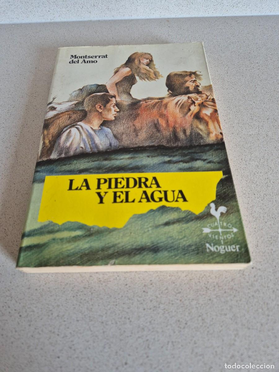 Libros de segunda mano: Libro &rdquo;La piedra y el agua&rdquo; - Foto 1