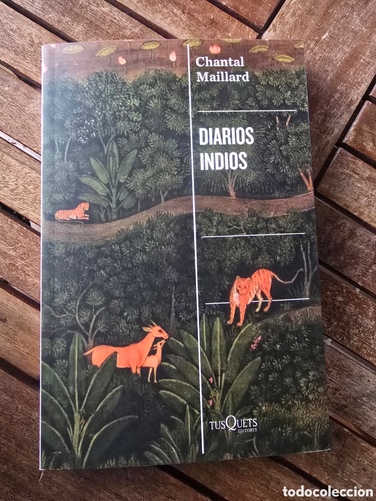 Libros de segunda mano: Diarios indios Chantal Maillard Editorial TUSQUETS 2026 narrativa civilizaci&oacute;n milenaria