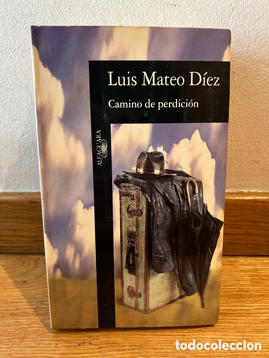 Libros de segunda mano: Luis Mateo D&iacute;ez Camino de perdici&oacute;n