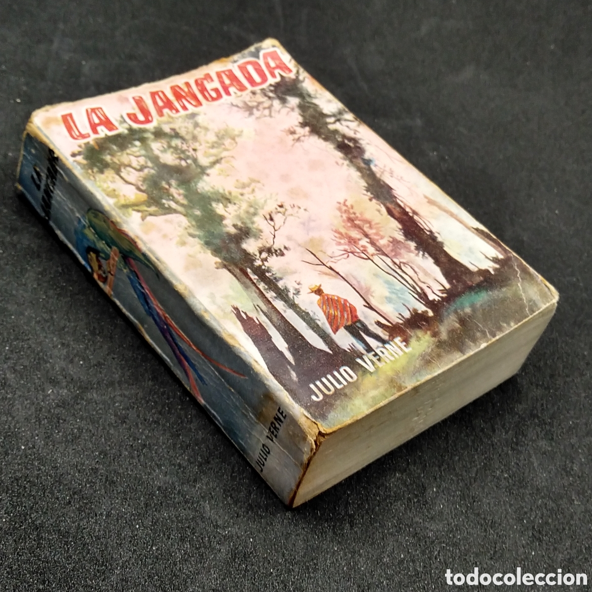 Libros de segunda mano: ENCICLOPEDIA PULGA N&ordm; 171 - JULIO VERNE - LA JANGADA - RARO