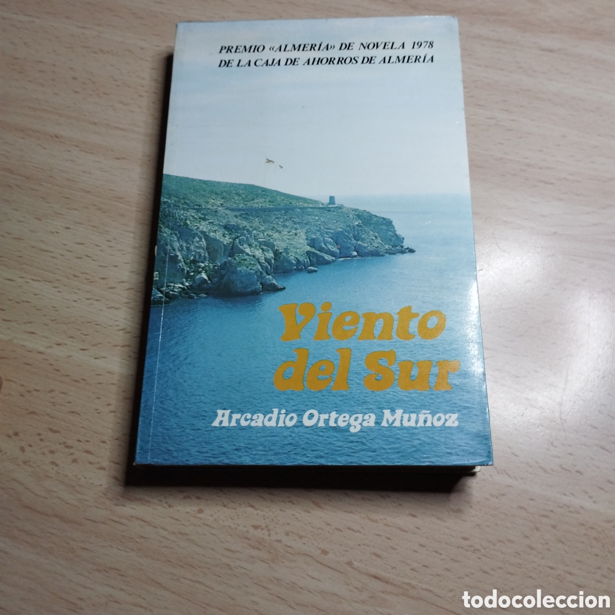 Libros de segunda mano: Viento del sur. Arcadio Ortega Mu&ntilde;oz. 1979. Pareja editor