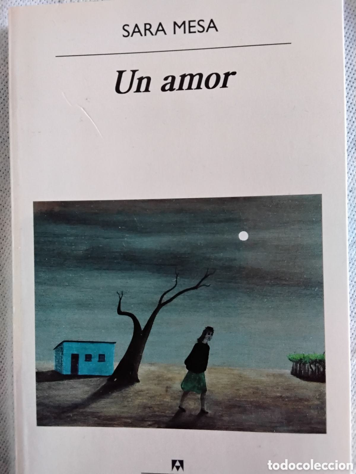Libros de segunda mano: UN AMOR. SARA MESA. ANAGRAMA