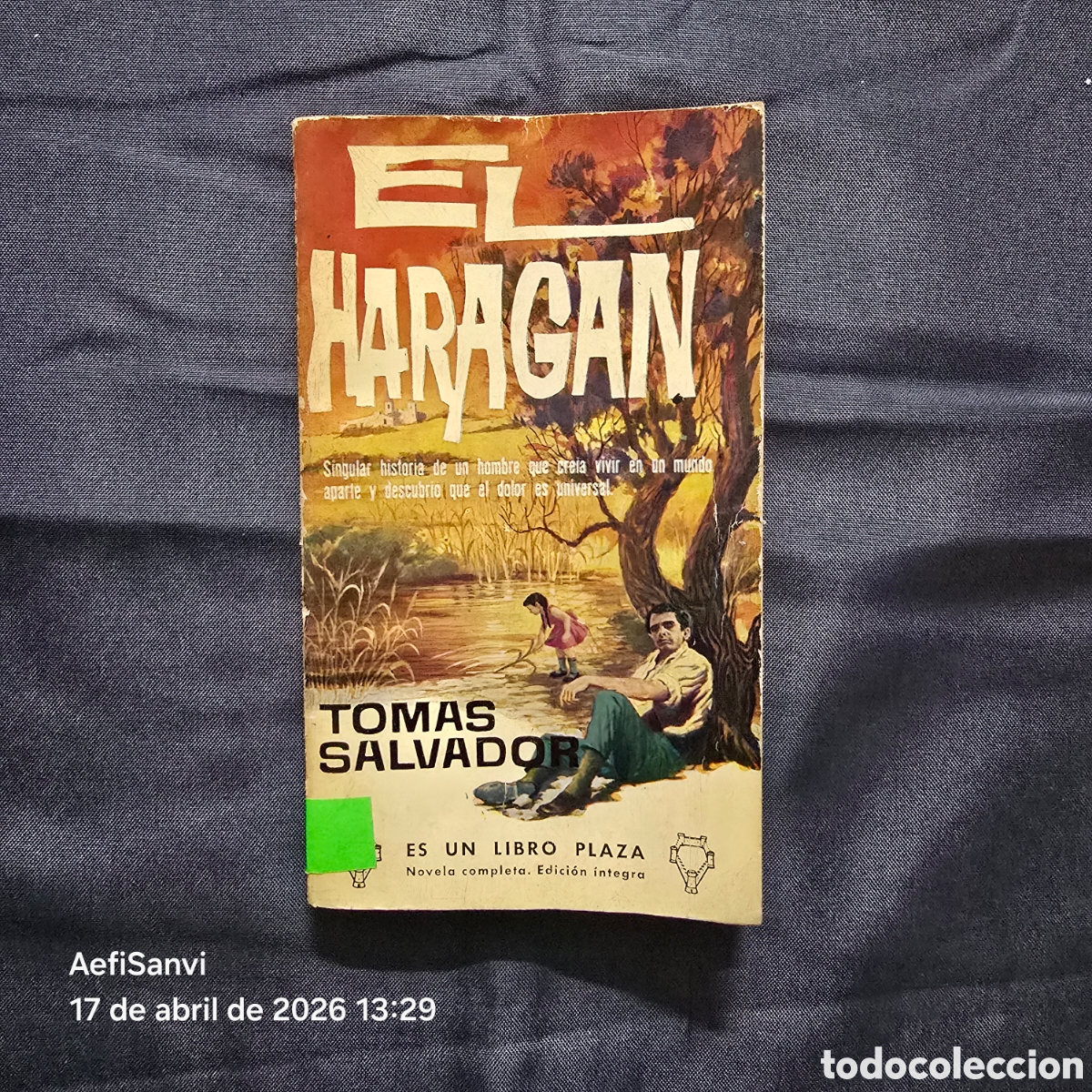 Libros de segunda mano: EL HARAG&Aacute;N (TOMAS SALVADOR) (ES UN LIBRO DE PLAZA, PLAZA & JANES)