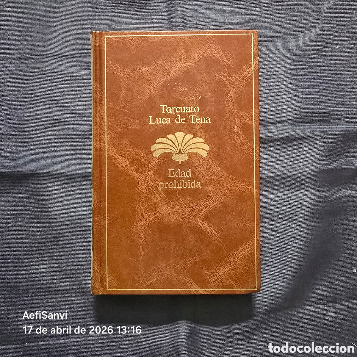 Libros de segunda mano: EDAD PROHIBIDA (TORCUATO LUCA DE TENA) (ORBIS)