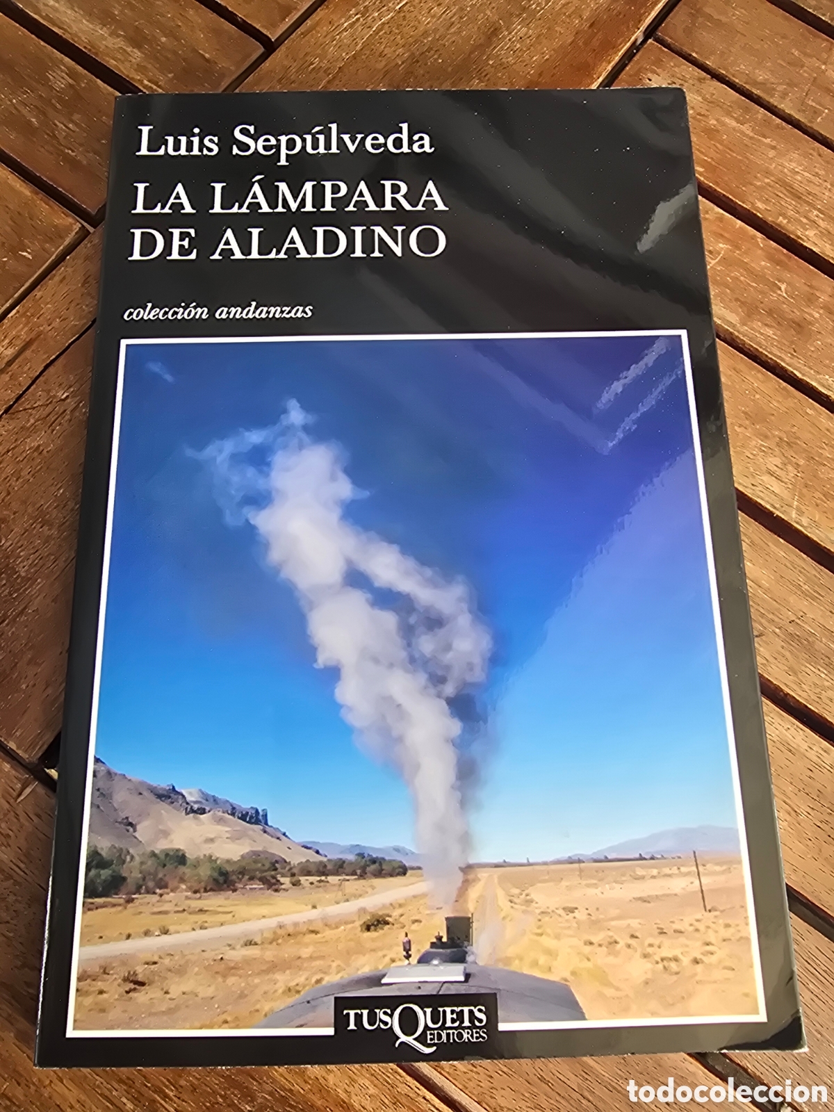 Libros de segunda mano: La l&aacute;mpara de Aladino Sep&uacute;lveda, Luis Editorial TUSQUETS 2025 novela