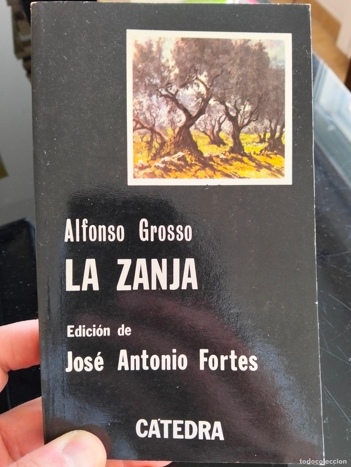 Libros de segunda mano: Literatura. La Zanja, Alfonso Grosso, ed. Catedra, VISITA MI CATALOGO, L54