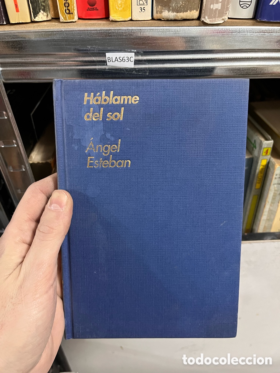 Libros de segunda mano: BLAS63C H&aacute;blame del sol - Angel Esteban