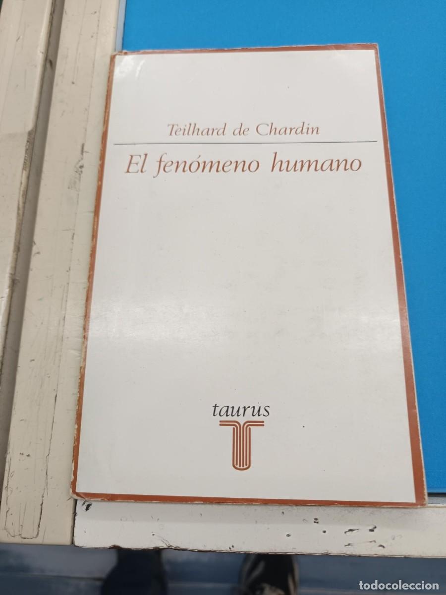 Libros de segunda mano: EL FENOMENO HUMANO TEILHARD DE CHARDIN TAURUS