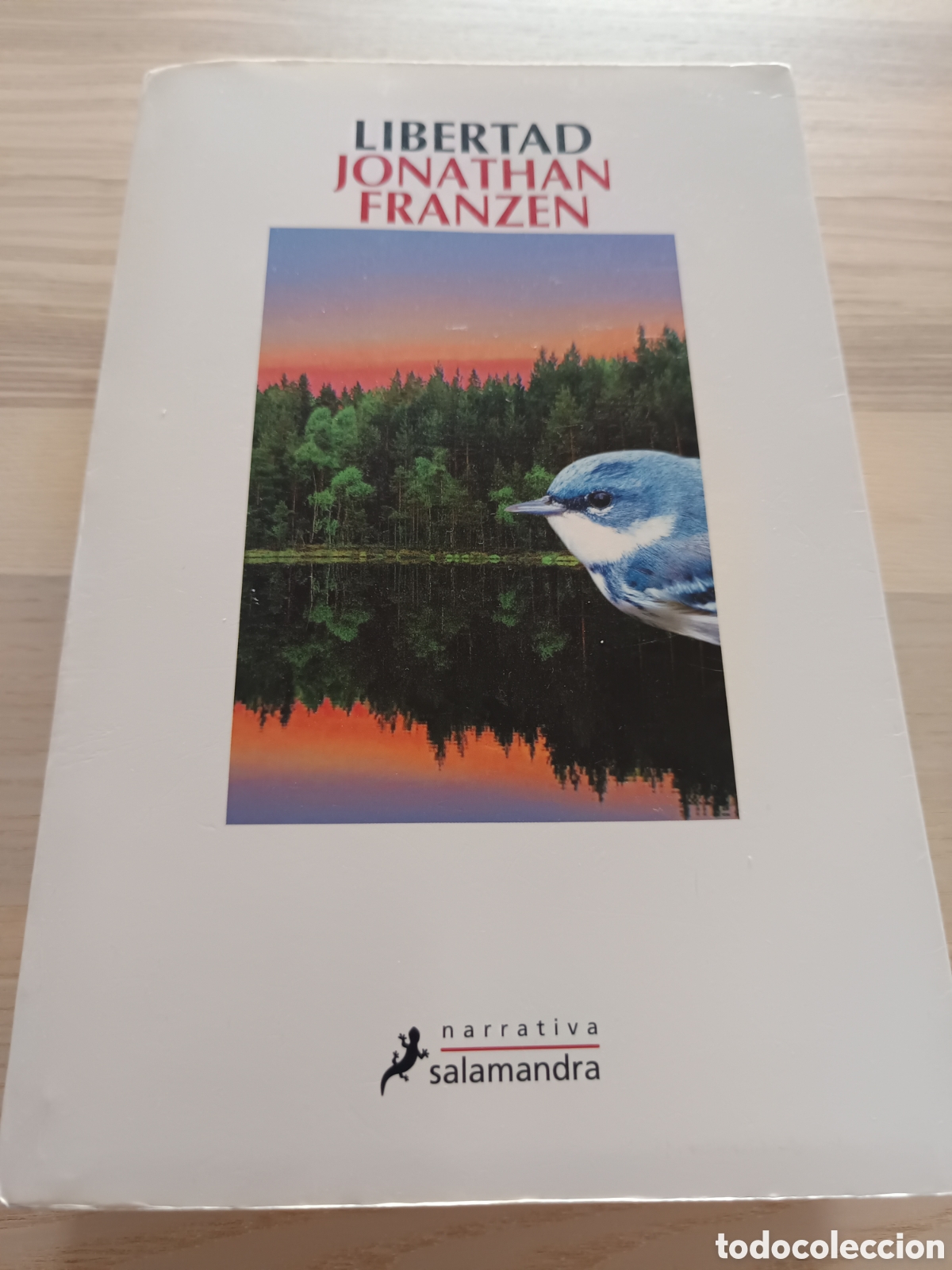 Libros de segunda mano: &rdquo;Libertad&rdquo;, de Jonathan Franzen