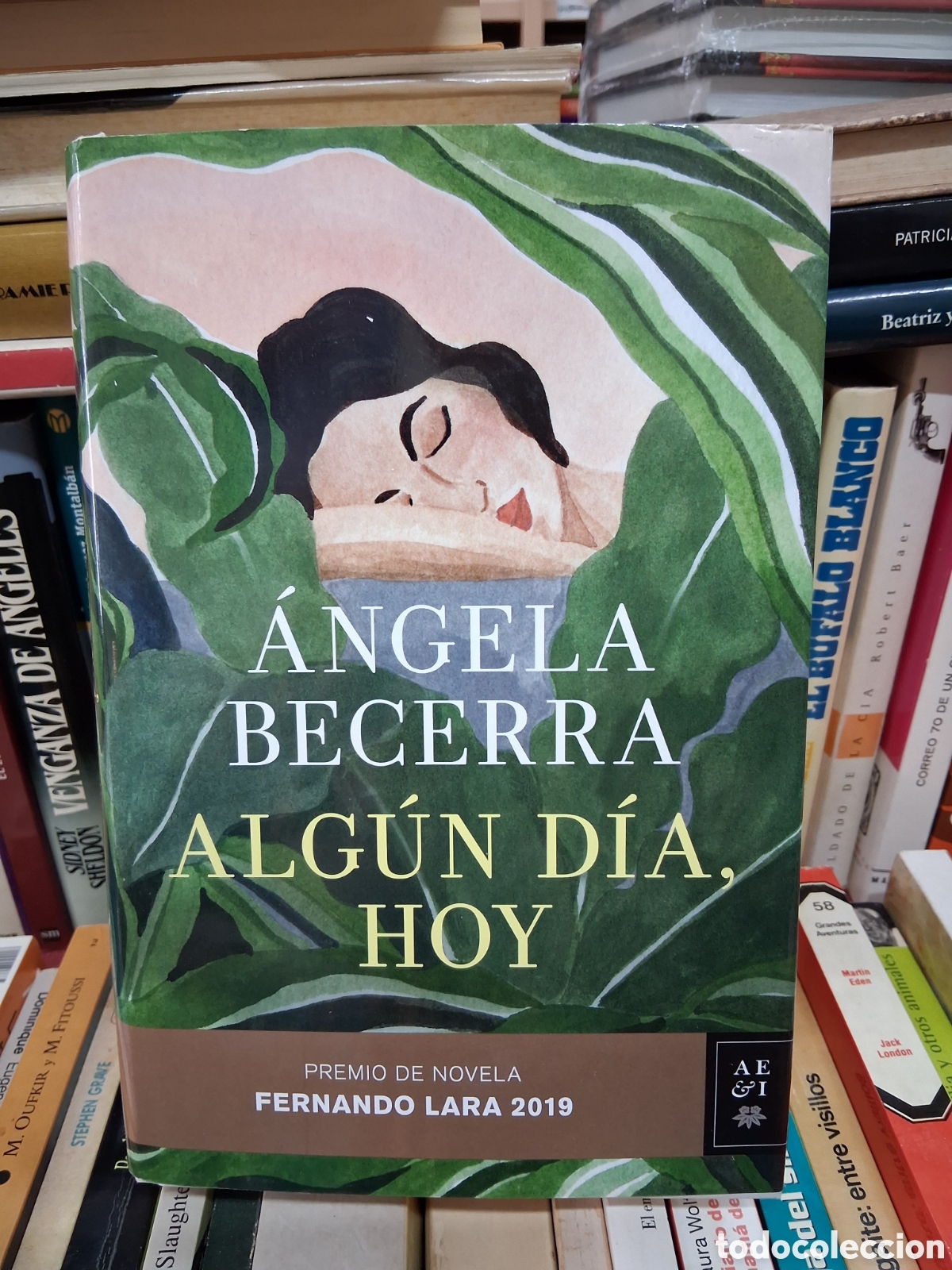 Libros de segunda mano: Alg&uacute;n d&iacute;a, hoy - Angela Becerra - Planeta