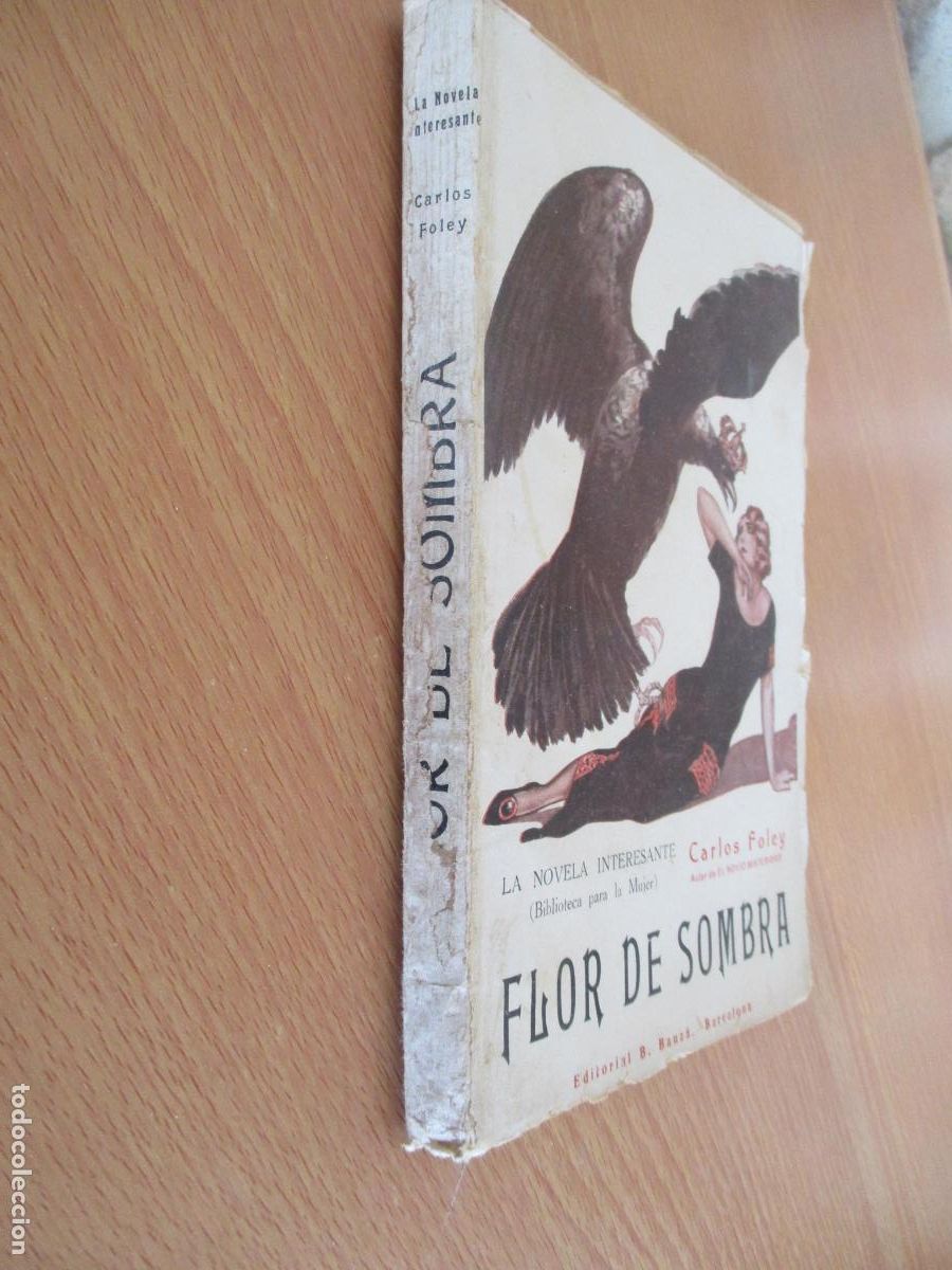 Libros de segunda mano: LA NOVELA INTERESANTE-CARLOS FOLEY- FLOR DE SOMBRA- EDT: B. BAUZ&Aacute;-S/F.
