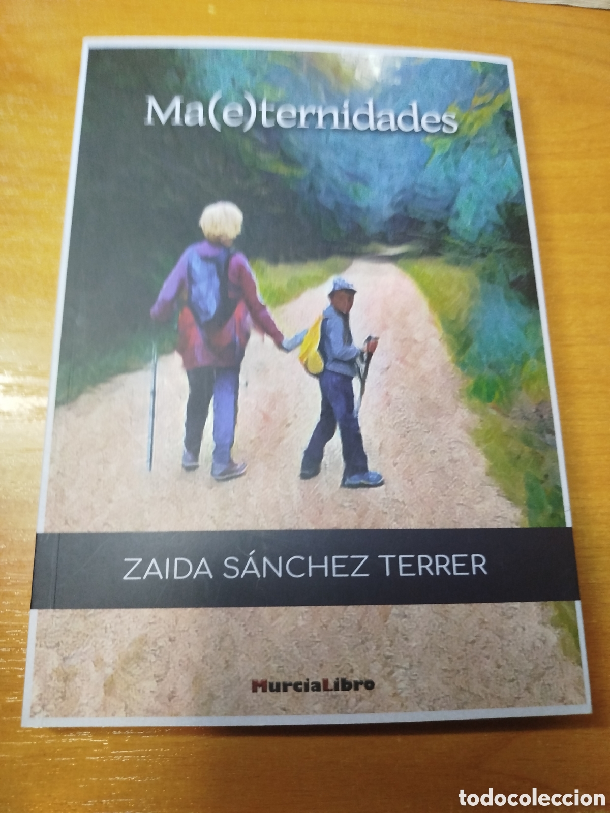 Libros de segunda mano: Maeternidades. Zaida S&aacute;nchez Terrer