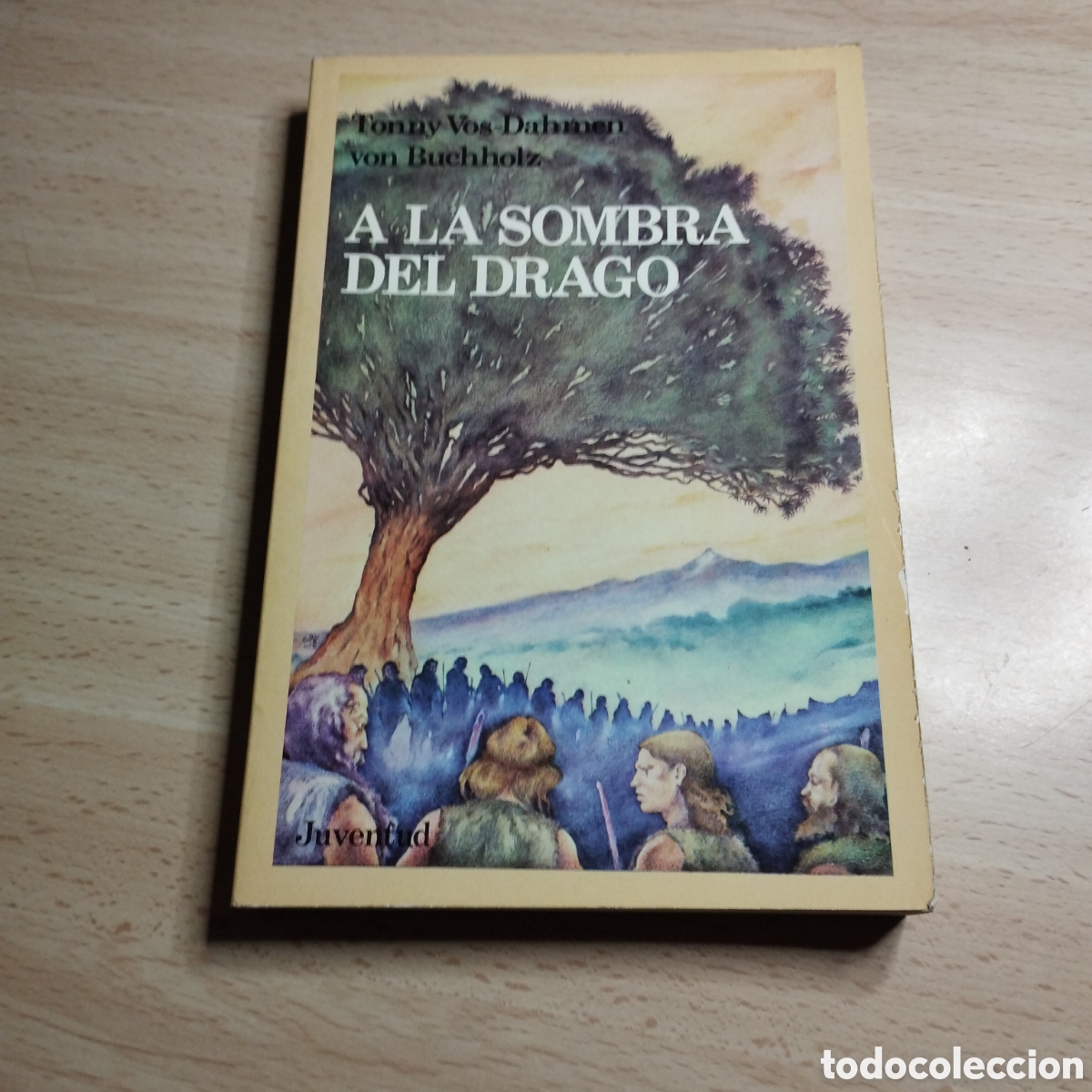 Libros de segunda mano: A la sombra del Drago. Tonny Vos-Dahmen. 1984. Editorial Juventud. 1&ordf; Edici&oacute;n