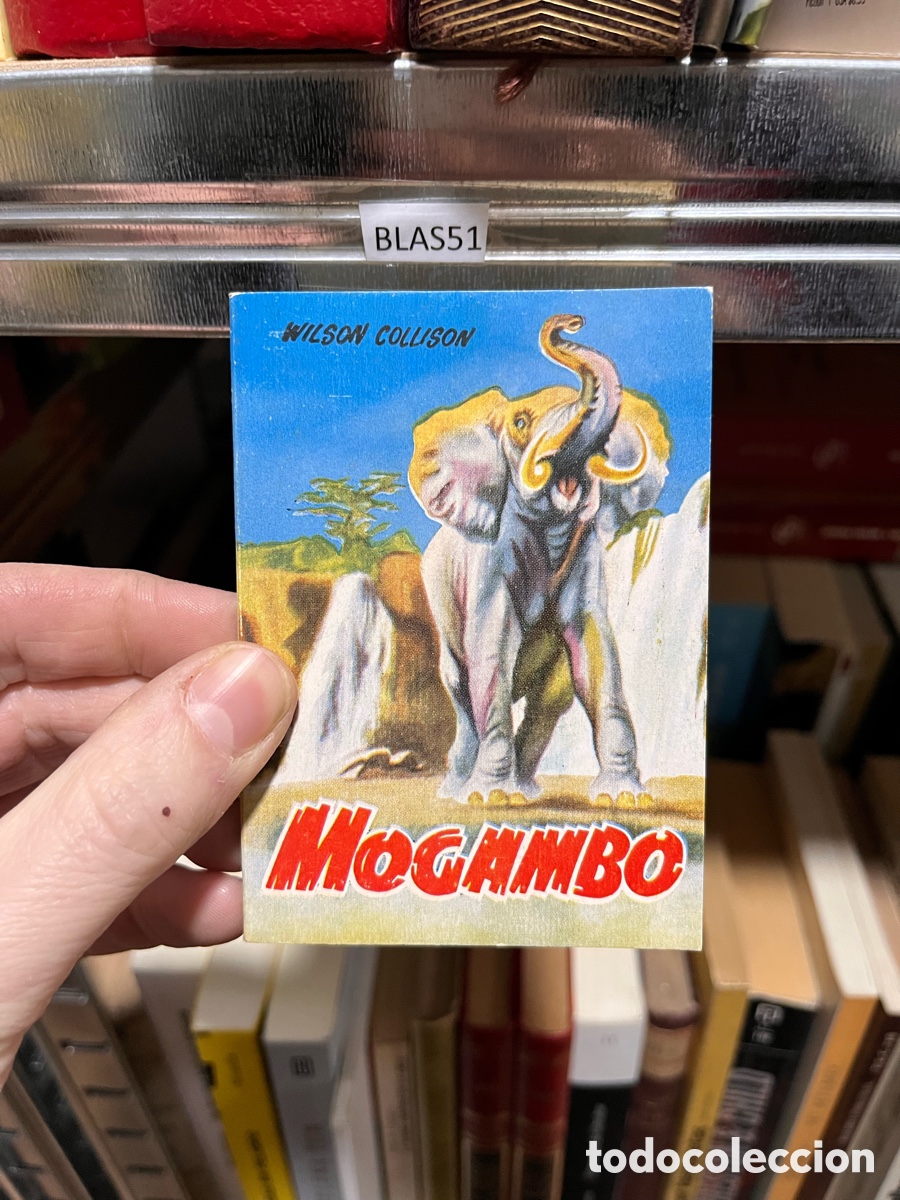 Libros de segunda mano: BLAS51 WILSON COLLISON MOGAmBO