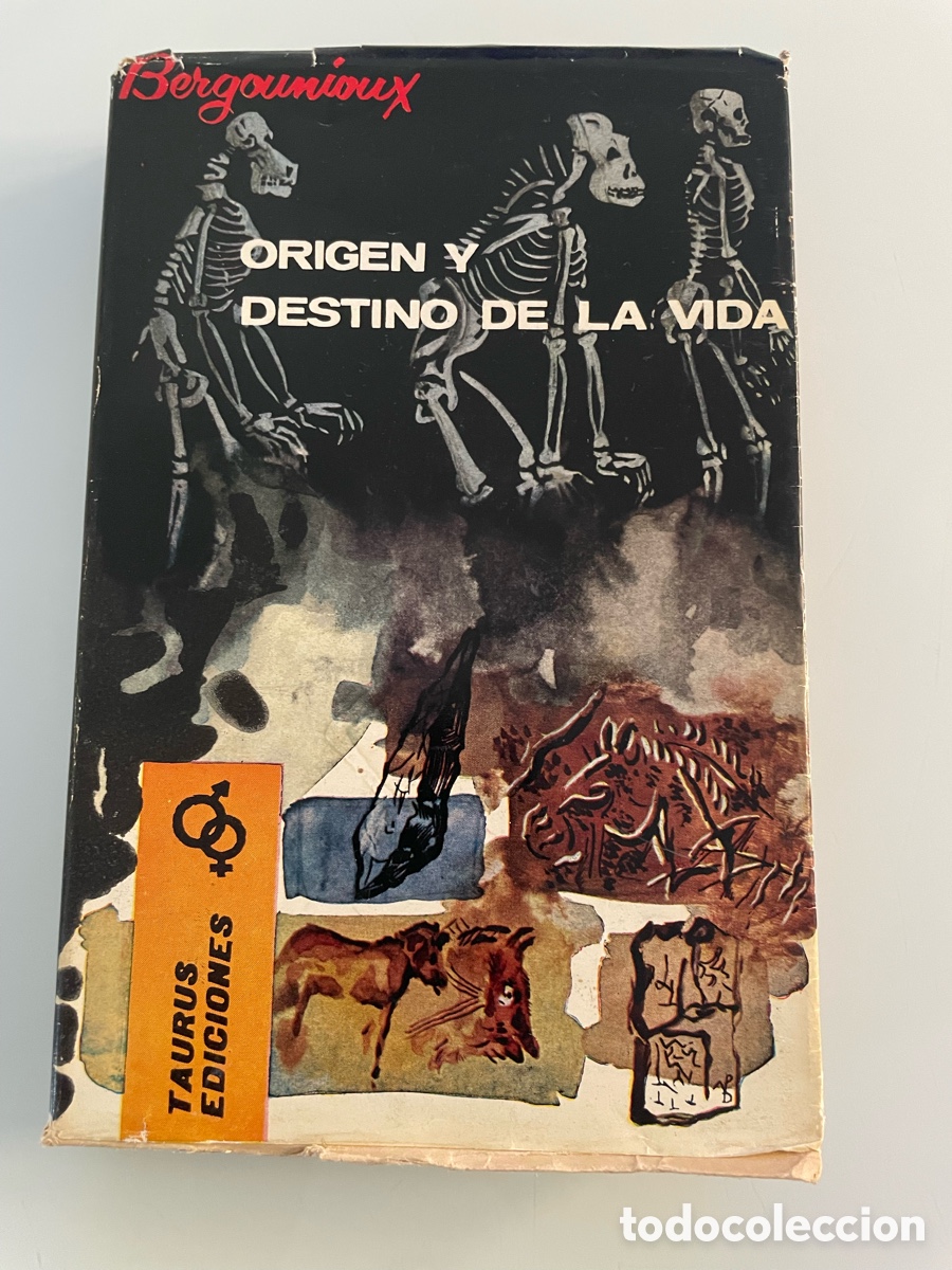 Libros de segunda mano: Origen y destino de la vida. Bergounioux. Taurus ediciones.1963