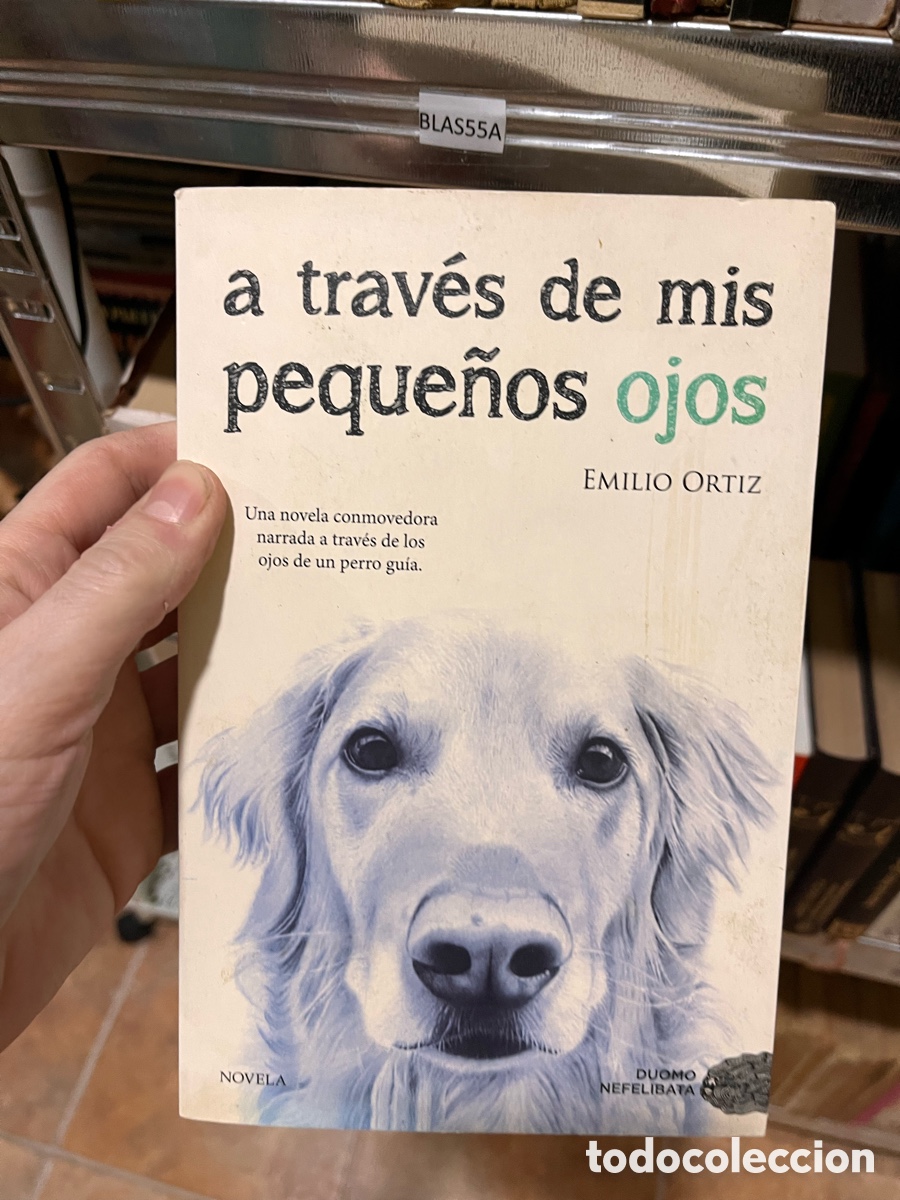 Libros de segunda mano: BLAS55A a trav&eacute;s de mis peque&ntilde;os ojos EMILIO ORTIZ