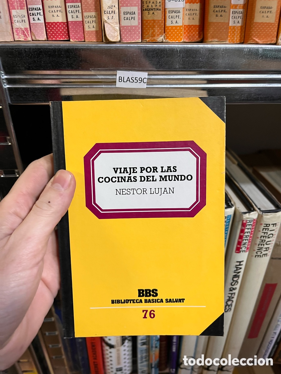Libros de segunda mano: BLAS59C VIAJE POR LAS COCINAS DEL MUNDO NESTOR LUJAN